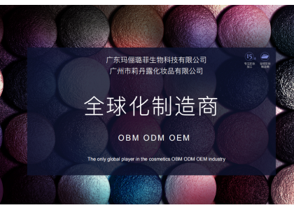 公司简介PPT