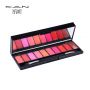 make up kit for ladies 10 colors eye and lips 