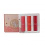 Long Lasting Lipstick Set Waterproof and Moisturizing with Nutritious lipstick for lip