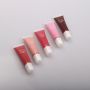 [ 复制 ]10ml Lip Gloss  for lips care 
