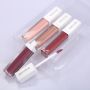 [ 复制 ]4 colors Lip gloss 