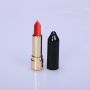 double lipstick 