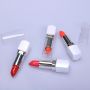 highlight lipstick