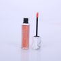 Sexy Long Lasting Liquid Lipgloss
