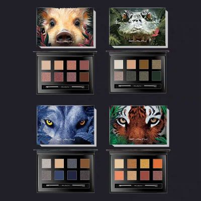 Eyeshadow