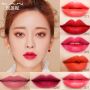 Shimmer Color Lip Stick 