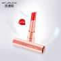 Shimmer Color Lip Stick 