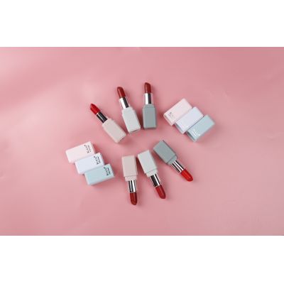 Matte Long-lasting Lipstick Set 