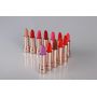12 Colors beauty lipstick 