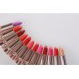 12 Colors beauty lipstick 