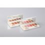 6 Colors  Eye shadow 
