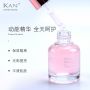 Face Moisturizer Whitening Base Make Up Primer 