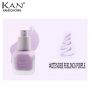 Natural Moisturizer Cream Foundation