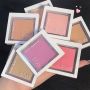Biya 10 Color Natural Blusher