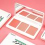 New 3 In 1 Matte Blush Palette 