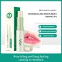 Vaseline Lip Balm Moisturizing Lipstick 